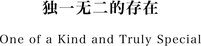 独一无二的存在。One of a Kind and Truly Special